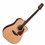 Takamine GD90CE-MDNAT