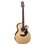 TAKAMINE GN90CE-MDNAT 