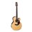 TAKAMINE GN90CEZC-NAT 