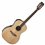 TAKAMINE GY51E-NAT 