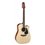 TAKAMINE P2DC NATURAL 