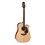 TAKAMINE P4DC 