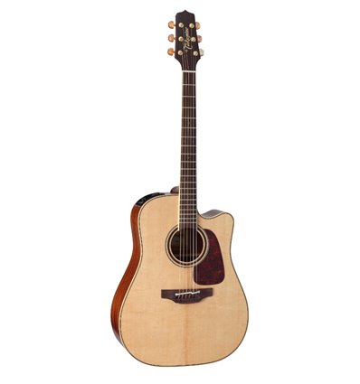 TAKAMINE P4DC 