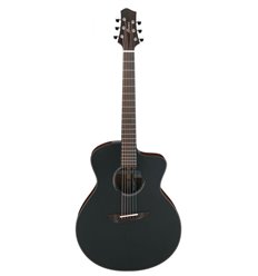 Ibanez JGM10-BSN JON GOMM elektro akustična gitara